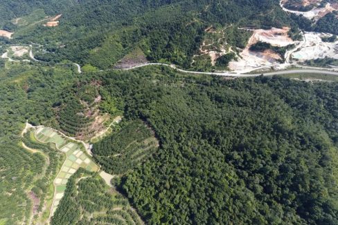 Ejen Hartanah Simpang Pulai-Tanah Simpang Pulai