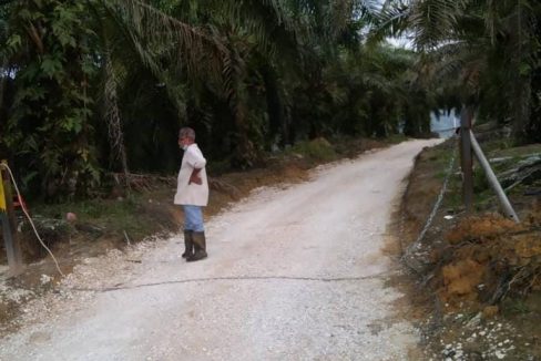 Ejen Hartanah Parit Perak-Tanah Lot Kebun Sawit Untuk Dijual Di Chopin,Parit Perak