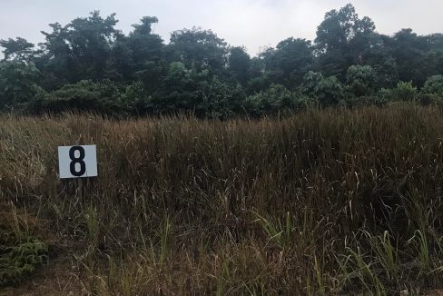 Ejen Hartanah Perak-Tanah Lot Untuk Di Jual Di Behrang,Perak