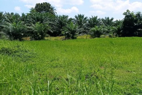 Ejen Hartanah Perak-Tanah Lot Untuk Dijual Di Kampung Bahagia Teluk Intan