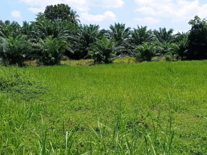 Ejen Hartanah Perak-Tanah Lot Untuk Dijual Di Kampung Bahagia Teluk Intan