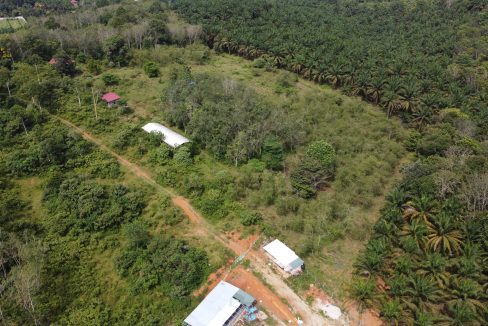 Ejen Hartanah Sungai Siput-Tanah Pertanian Untuk Dijual Di Mukim Pulau Kamiri