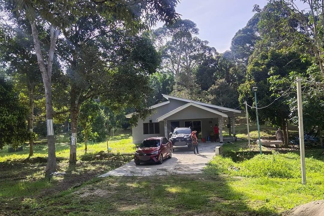 Ejen Hartanah Perak-Tanah Dusun Durian & Rumah Banglo Untuk dijual di Kg Bukit Chupak-1