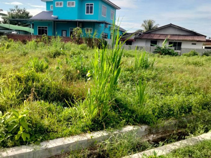 Ejen Hartanah Taiping-Tanah Lot Untuk Dijual Di Larut Tin Tambahan