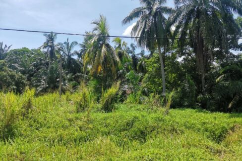 Ejen Hartanah Perak-Tanah 2 Lot Untuk Dijual Di Kota Setia