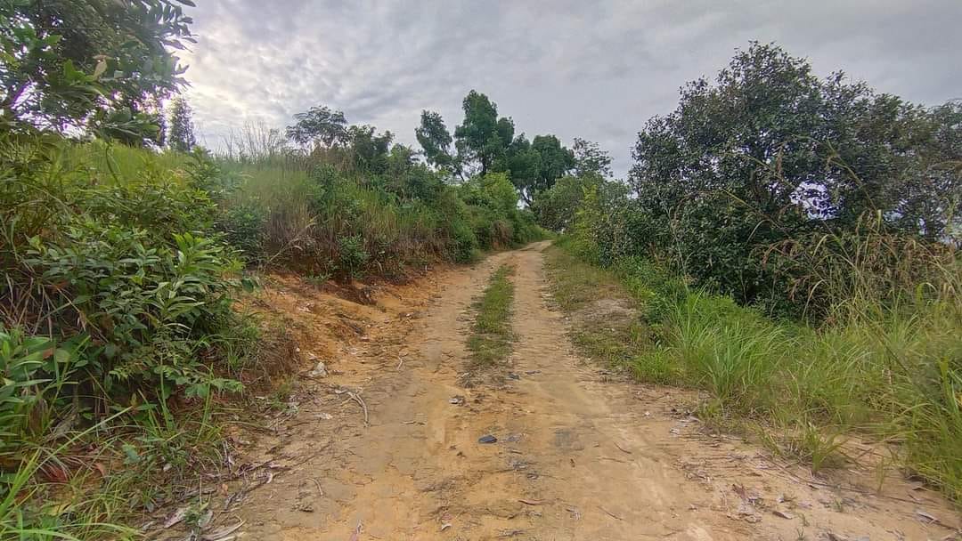 Ejen Hartanah Ipoh-Tanah Dusun 3.2 Ekar Di Ulu Kinta-12