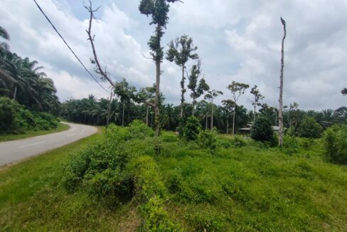Ejen Hartanah Kamunting Taiping-Rumah Semi D Setingkat Di Taman Desa Jaya 4