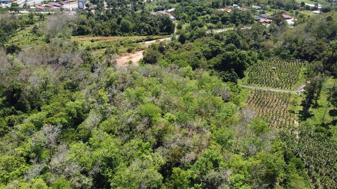 Ejen Hartanah Lenggong Perak-Tanah Pertanian Untuk Dijual Di Kota Tampan, Lenggong Hulu Perak-4