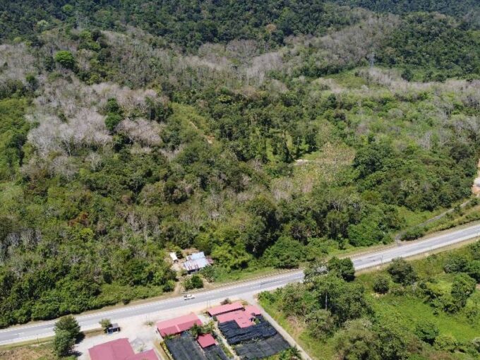 Ejen Hartanah Lenggong Perak-Tanah Pertanian Untuk Dijual Di Kota Tampan, Lenggong Hulu Perak