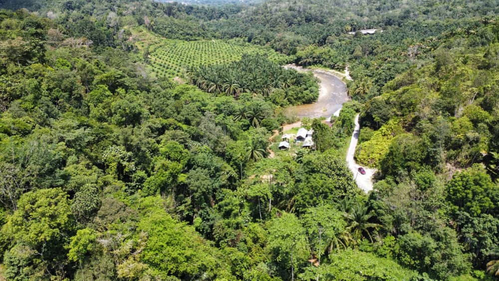 [Tanah Ada Sungai] Tanah Pertanian Tepi Sungai Untuk Dijual Di Tanjung Rambutan Ipoh (4)