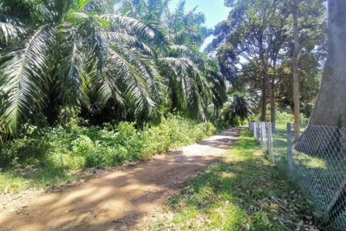 Tanah Tiga Ekar Di Kuala Kangsar Untuk Dijual
