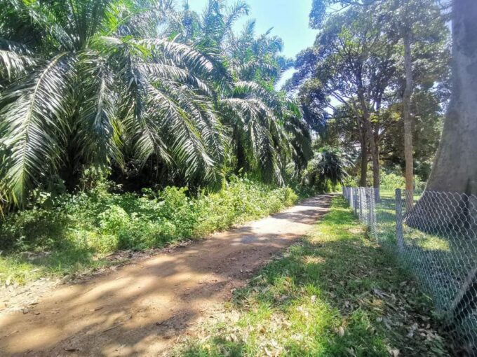 Tanah Tiga Ekar Di Kuala Kangsar Untuk Dijual