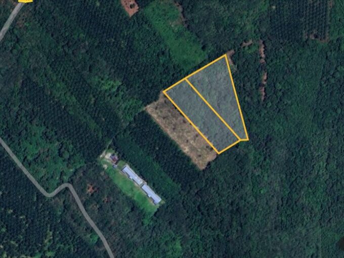 Tanah Getah Untuk Di Jual Di Lanchang Seri, Mukim Chegar Galah, Kuala Kangsar Perak