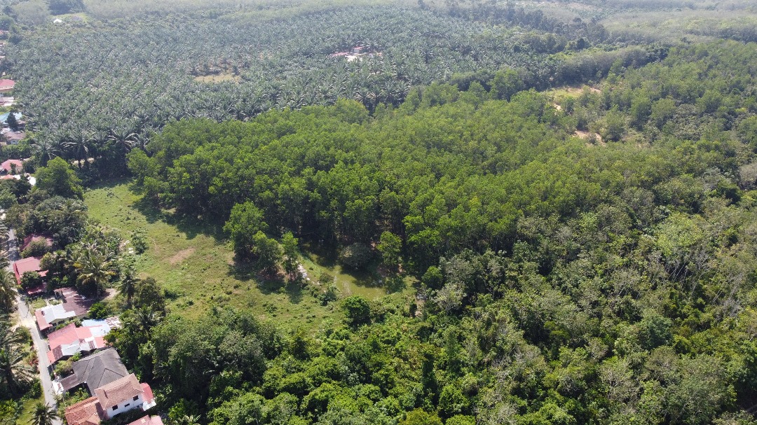 Tanah Pertanian Untuk Di Jual Di Jerlun, Mukim Sayung, Kuala Kangsar Perak (8)
